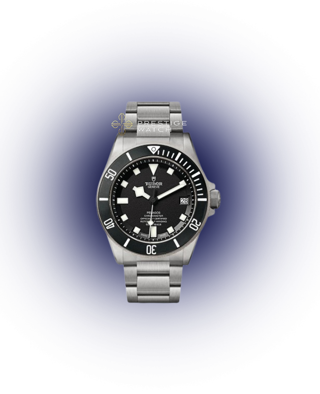 M25600TN 帝舵 PELAGOS