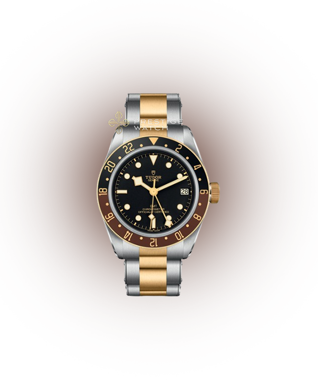 M79833MN-0001 TUDOR Black Bay GMT S&G